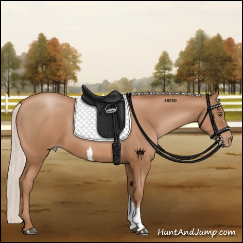 Horse Color:Silver Brown Pearl 