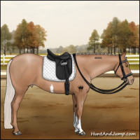 Horse Color:Silver Brown Pearl 