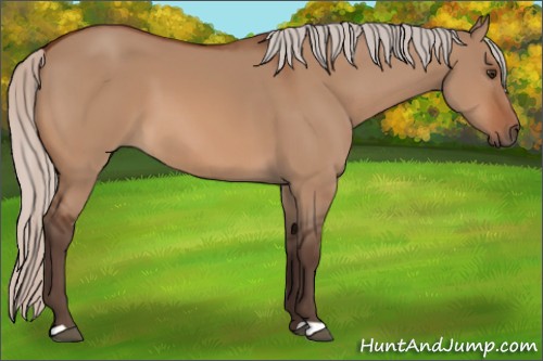 Horse Color:Silver Brown Dun