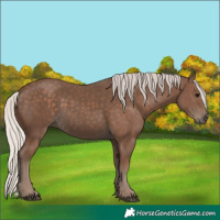 Horse Color:Silver Black 