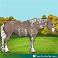 Horse Color:Silver Black Sabino 