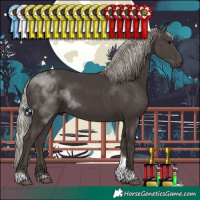 Horse Color:Silver Black Tobiano 