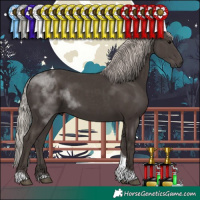 Horse Color:Silver Black Tobiano 