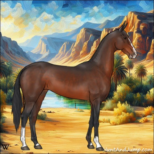Horse Color:Brown Sabino