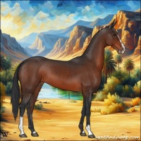 Horse Color:Brown Sabino 