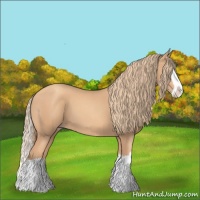 Horse Color:Gold Champagne Splash 