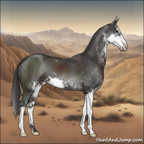 Horse Color:Smoky Black Sabino 