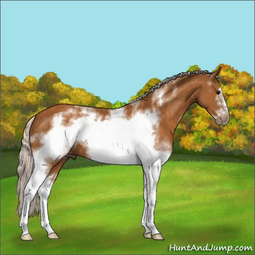Horse Color:White Spotted Silver Buckskin Frame 