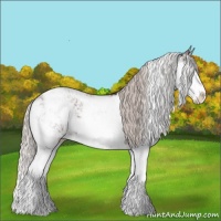Horse Color:Silver Brown Sabino 