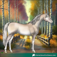 Horse Color:Chocolate Palomino Pearl Onyx 