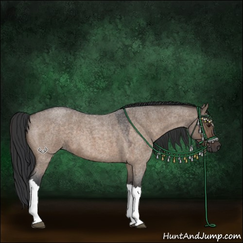 Horse Color:Brown Roan Dun 