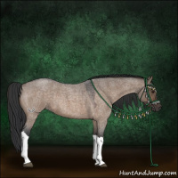 Horse Color:Brown Roan Dun 