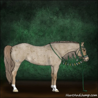 Horse Color:Chocolate Palomino Roan Dun