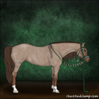 Horse Color:Liver Red Dun Roan
