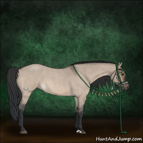 Horse Color:Brown Roan Dun 