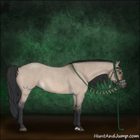 Horse Color:Brown Roan Dun 