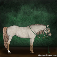 Horse Color:Chocolate Palomino Roan Dun 