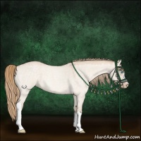 Horse Color:Perlino Roan Dun