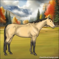 Horse Color:Buckskin 