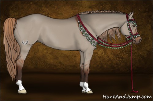 Horse Color:Liver Red Dun