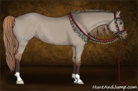 Horse Color:Liver Red Dun