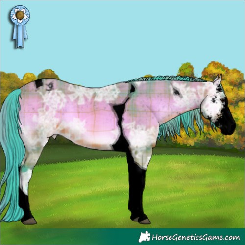 Horse Color:Void Watercolor Plaid  Bay Ice Onyx Sabino Tobiano Varnish 