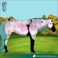Horse Color:Void Watercolor Plaid  Bay Ice Onyx Sabino Tobiano Varnish 