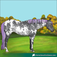 Horse Color:Painted White Spotted Silver Black Chinchilla 