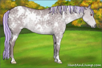 Horse Color:Painted White Spotted Chocolate Silver Grullo Chinchilla 