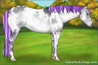 Horse Color:Painted White Spotted Silver Blue Onyx Chinchilla Rabicano 