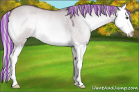 Horse Color:Painted Chocolate Silver Grullo Chinchilla Onyx Splash 