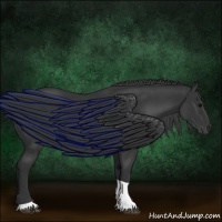 Horse Color:Black Tobiano