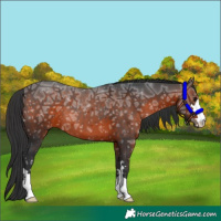 Horse Color:Brown Ice