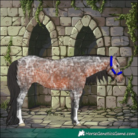 Horse Color:Brown Ice 