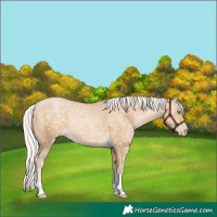 Horse Color:Silver Buckskin Ice Pearl 