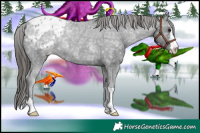 Horse Color:Black Ice Appaloosa 