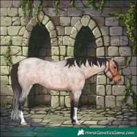 Horse Color:Bay Ice Roan 
