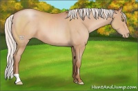 Horse Color:Silver Bay Pearl 