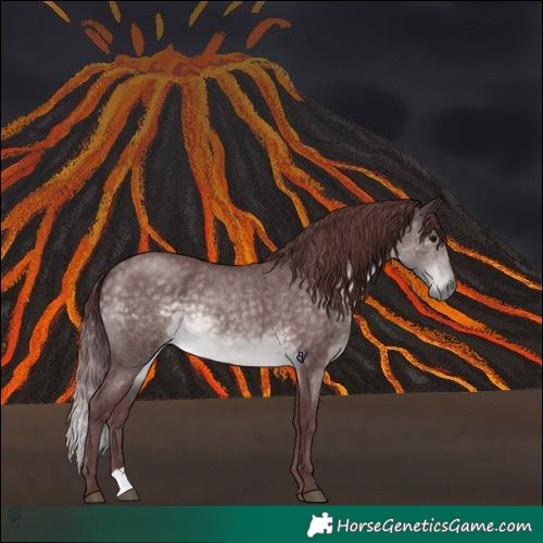 Horse Color:Platinum Chocolate Buckskin Roan 