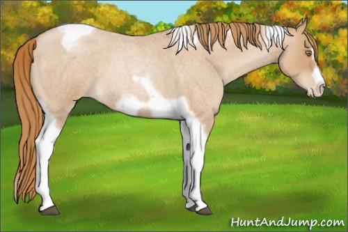 Horse Color:Red Roan Pearl Tobiano Frame 