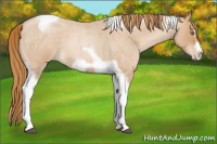 Horse Color:Red Roan Pearl Tobiano Frame 