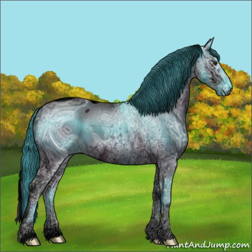 Horse Color:ERROR: UNKNOWN ANOMALY