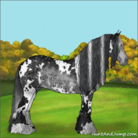 Horse Color:White Spotted Brown Chinchilla Ice 