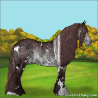 Horse Color:White Spotted Chocolate Brown Chinchilla Ice 