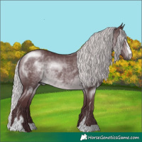 Horse Color:Chocolate Silver Brown Chinchilla Sabino