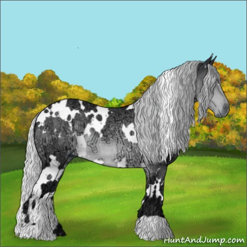 Horse Color:White Spotted Silver Brown Chinchilla Ice 