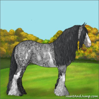 Horse Color:White Spotted Sable Champagne Chinchilla Ice Sabino
