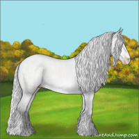 Horse Color:Silver Sable Champagne Chinchilla Sabino 