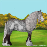 Horse Color:Chocolate Silver Bay Chinchilla Ice Sabino 