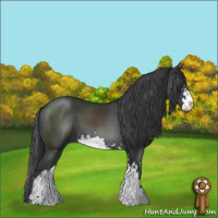 Horse Color:Black Sabino 
